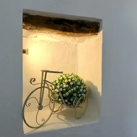 Bio Garden Stonehouse * Gonia